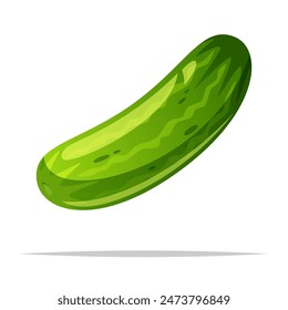 Green cucumber vector isolated illustration