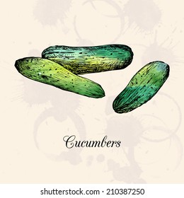 Green cucumbers, drawing by ink and watercolor at vintage background, hand drawn vegetables, vintage design elements, hand drawn vintage vector illustration