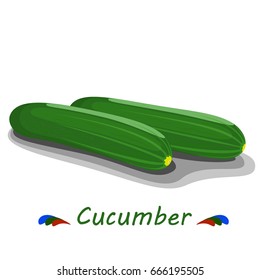Green cucumbers on white