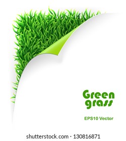 Green curled corner and grass background. vector template