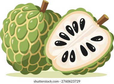 Green Custard Apple Fruit Illustration