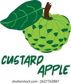 Green custard apple with leaf and stem.