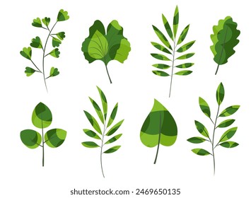 Green cute branches, leaves vector illustration set. Abstract stylized plants for eco collage. Vegetation leaves foliage flat design element