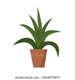 Green cute plant in pot for indoor garden, decoration for house vector illustration