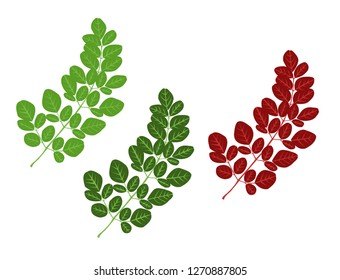 Green, Dark Green and Dark Red Leaves - Vector