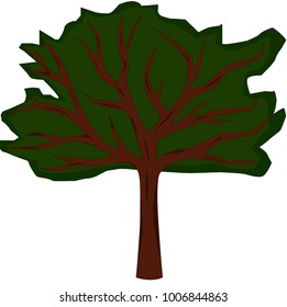 green deciduous tree