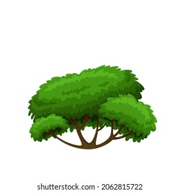 Árbol o arbusto verde caducifolio. Ilustración vectorial al estilo de las caricaturas.
