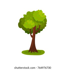 Green deciduous tree with round crown vector Illustration