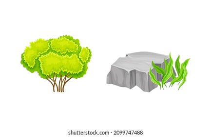 Green deciduous tree and stone with grass set. Summer landscape design elements cartoon vector illustration