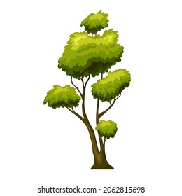 Green deciduous tree. Vector illustaration in cartoon style.