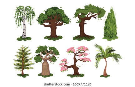 Green Deciduous Trees with Exuberant Tree Crown Vector Set