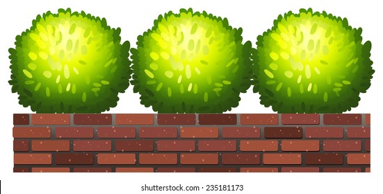 Green decorative plants on a white background 