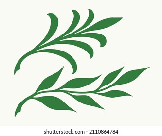 Green decorative sprigs design for celebration cards on isolated background, vector illustration