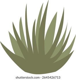 Green desert agave plant with spiky leaves, vector illustration for botanical themes, desert survival content, or tropical design elements.