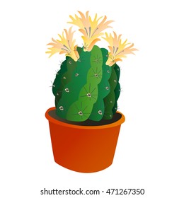 Green desert plant nature cartoon cactus and mexican summer cute cartoon cactus home plant