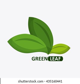Green design. leaf icon. White background, graphic vector