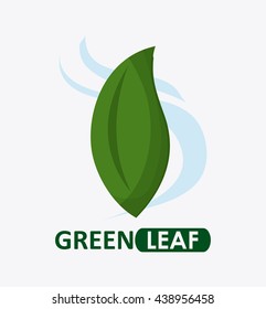 Green design. leaf icon. White background, graphic vector
