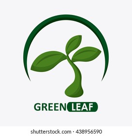 Green design. leaf icon. White background, graphic vector