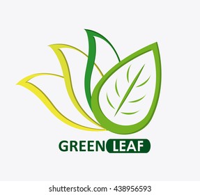 Green design. leaf icon. White background, graphic vector