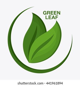 Green design. leaf icon. White background, graphic vector