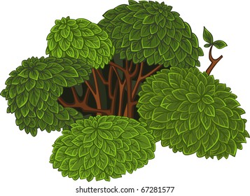 Green detailed bush