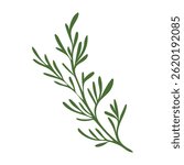 Green dill herb flat in flat design. Fennel leaves, seasoning plant. Vector illustration isolated.