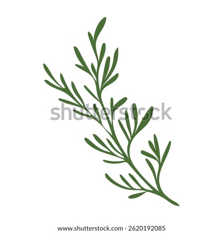 Green dill herb flat in flat design. Fennel leaves, seasoning plant. Vector illustration isolated.
