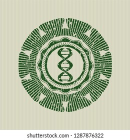 Green dna icon inside distress grunge stamp
