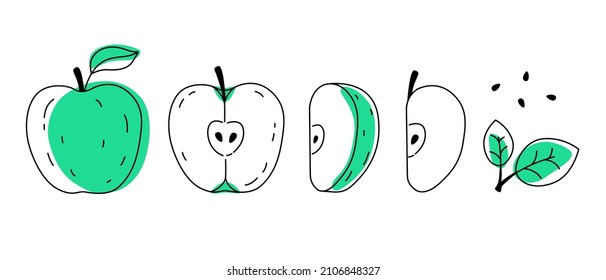 El contorno de manzana de doodle verde con manchas. Todo, trozos, semillas y hojas. 
