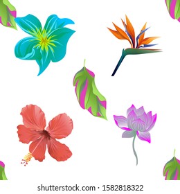 Green Dracaena. Green Plumeria. Orange Strelitzia Reginae. Red Hibiscus. Purple Lotus. Vector illustration. Seamless background pattern. Floral botanical flower. Wild leaf wildflower isolated.