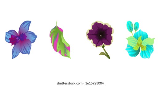 Green Dracaena. Violet Petunia. Green Orchid. Vector illustration. Isolated illustration element. Floral botanical flower. Wild leaf wildflower isolated. Exotic tropical hawaiian jungle.