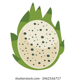 Grüne Drachenfrucht-Vektorillustration, Pitaya oder Buah Naga halbiert, grüne Pitahaya isoliert auf weißem Hintergrund