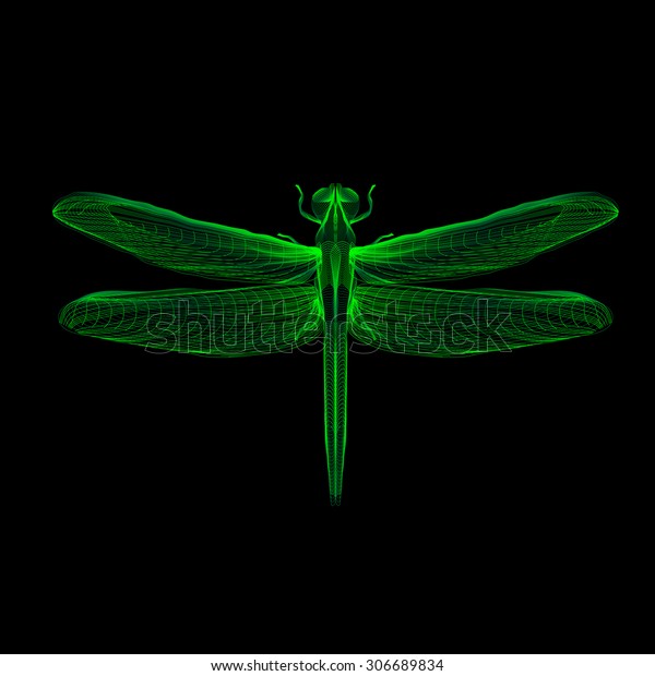 Download Green Dragonfly 3d Hologram Xray Style Stock Vector ...