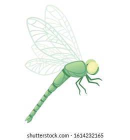 Green dragonfly with big yellow eyes flat vector illustration isolated on white background