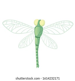 Green dragonfly with big yellow eyes flat vector illustration isolated on white background