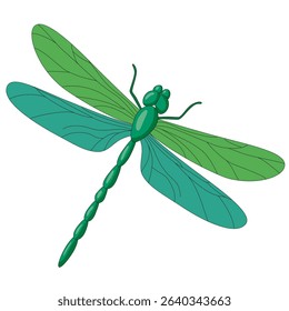 Green dragonfly with delicate wings vector illustration