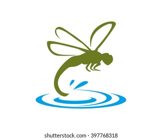 Green Dragonfly Splashing the Water Surface on the Pond