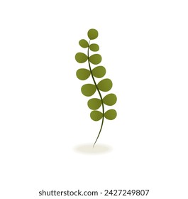 Green drink of colorful set. This illustration vividly portrays the leaf for tea, offering a visual treat that is both refreshing and enchanting on a white background. Vector illustration.