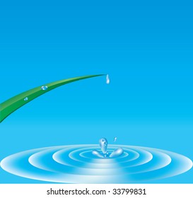 green drops on leaves (falling water drop)