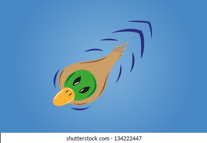 green duck on the blue water - view from the top