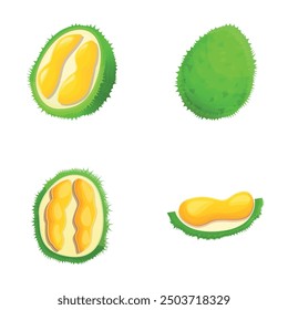 Iconos de durión verde fijados Vector de dibujos animados. Fruta exótica fresca. Producto orgánico, nutrición saludable