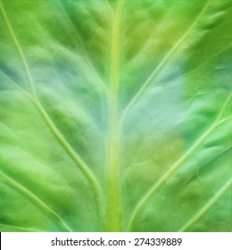 Green eco abstract background with leaf texture