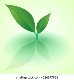 Green eco abstract paper leaves.vector