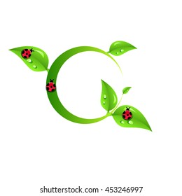 Green eco background leaves.