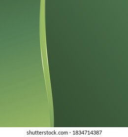 Green eco background. Green eco background or template. Green eco city background design. Green abstract web design. Nature color background. leaf vector concept.