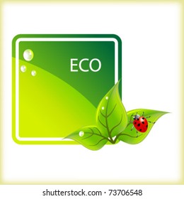 Green eco banner