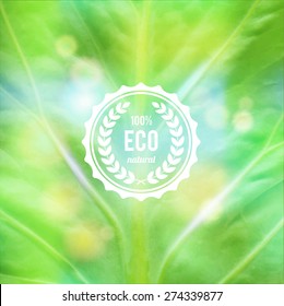Green eco design concept  with abstract  leaf texture and label.