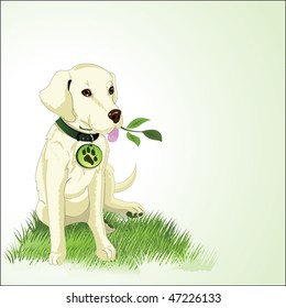 Green eco dog