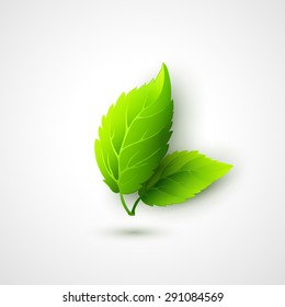 Green eco friendly background - abstract nature leaves.