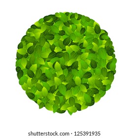 Green eco friendly label from green leaves. Vector illustration.
